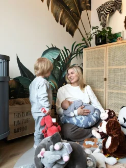 bbhugme Ammepude Betræk, Blueprint