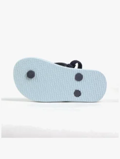 Bluey Klipklappere, Lyseblå