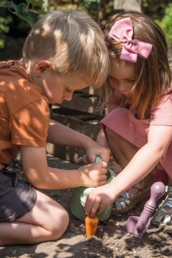 Dantoy GG Plantesæt i Kasse