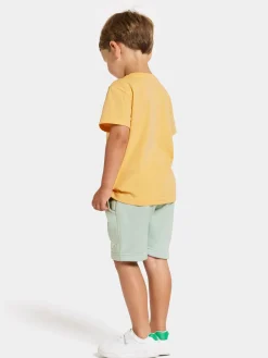 Didriksons Corin Powerstretch Shorts, Pale Mint