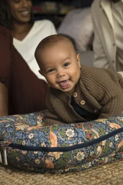 DockATot Deluxe+ Babynest, Strawberry Thief