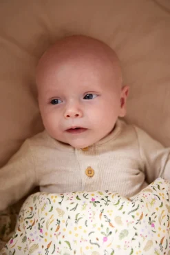 FILIBABBA  GOTS-certificeret Sengesæt 100 x 70 Tremmeseng, Harvest