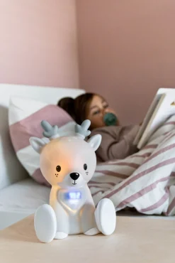 Flow Søvntræner Fabian