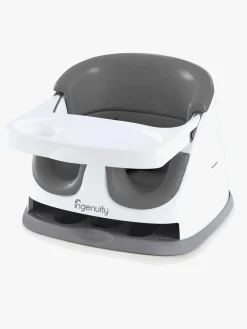 Ingenuity Baby Base 2-in-1 Sæde, Grey