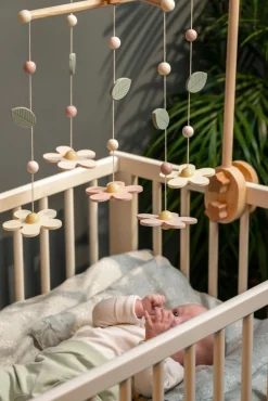 Jabadabado Sengeuro Blomst, Multi