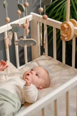 Jabadabado Sengeuro Safari, Multi