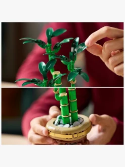 LEGO Botanicals 10344 Lykkebambus