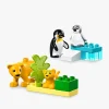 LEGO DUPLO Town 10442 Vilde dyrefamilier: pingviner og løver
