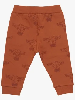 Minymo Bukser, Bombay Brown