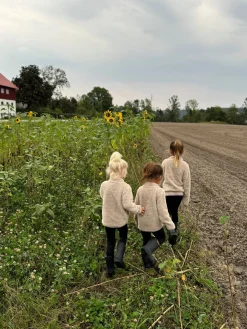 Nordbjørn Montana Fleecetrøje, Peyote