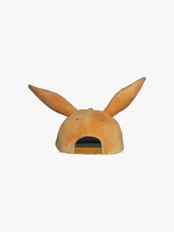 Pokémon Kasket, Winking Eevee
