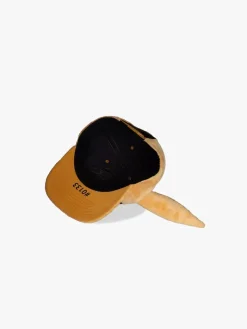 Pokémon Kasket, Winking Eevee