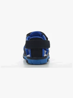 Pokémon Sandaler, Navy/Cobalt Blue