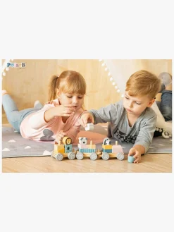 PolarB Klodstog Vilde Dyr