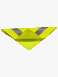 Reer LightReflex Sæt med Reflekser, Grøn