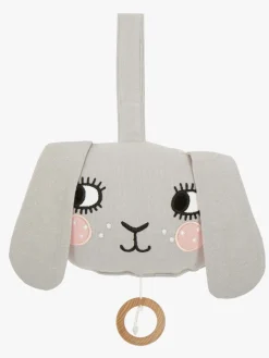 Roommate Musikuro Kanin