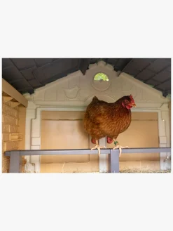 Smoby Hønsehus Cluck Cluck Cottage