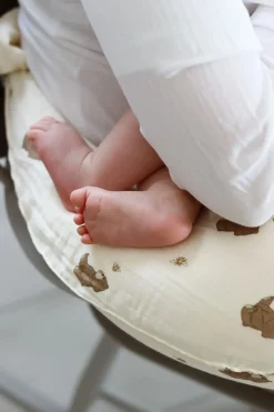 That's Mine Moon Ammepude, Bees and Bears