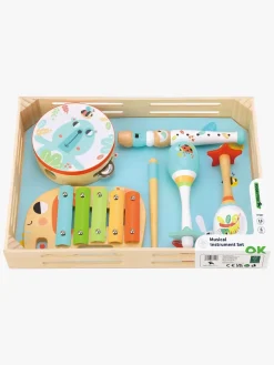 Tooky Toy Instrumentsæt